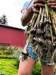 Garlic Bouquets Workshop 9/21