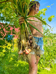 Garlic Bouquets Workshop 9/21