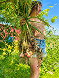 Garlic Bouquets Workshop 9/21